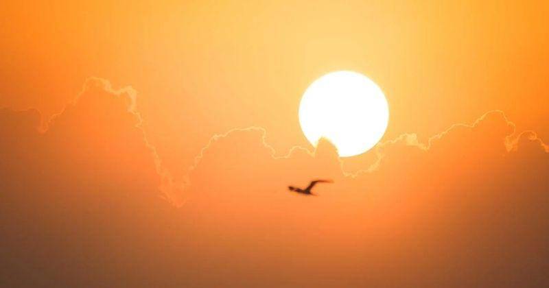 Pexels/Francesco Ungaro